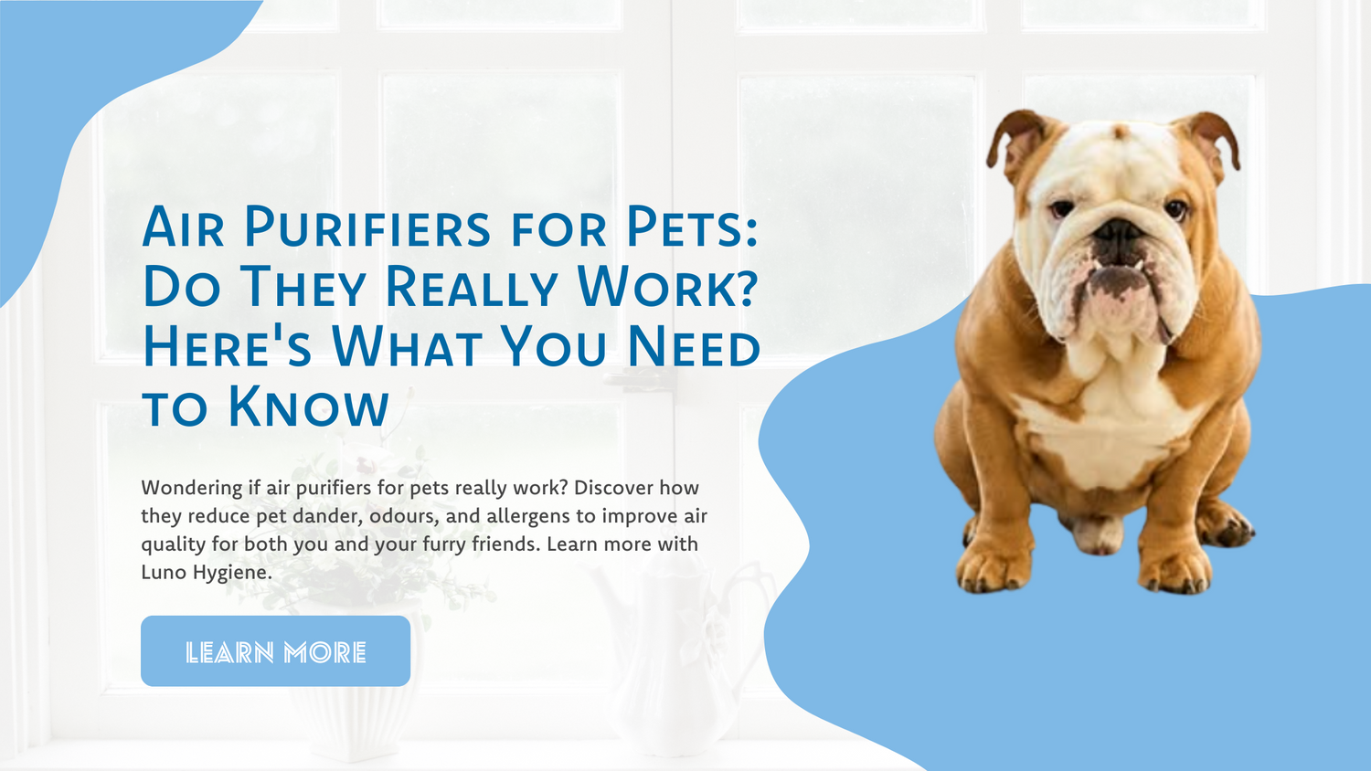 Breathing Easier at Home: Nugget’s Story and the Difference Clean Air Makes