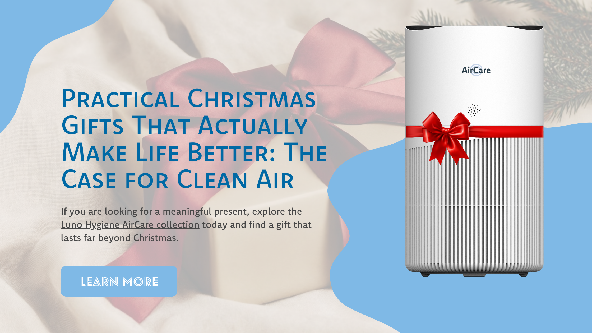 Practical Christmas Gifts That Actually Make Life Better: The Case for Clean Air