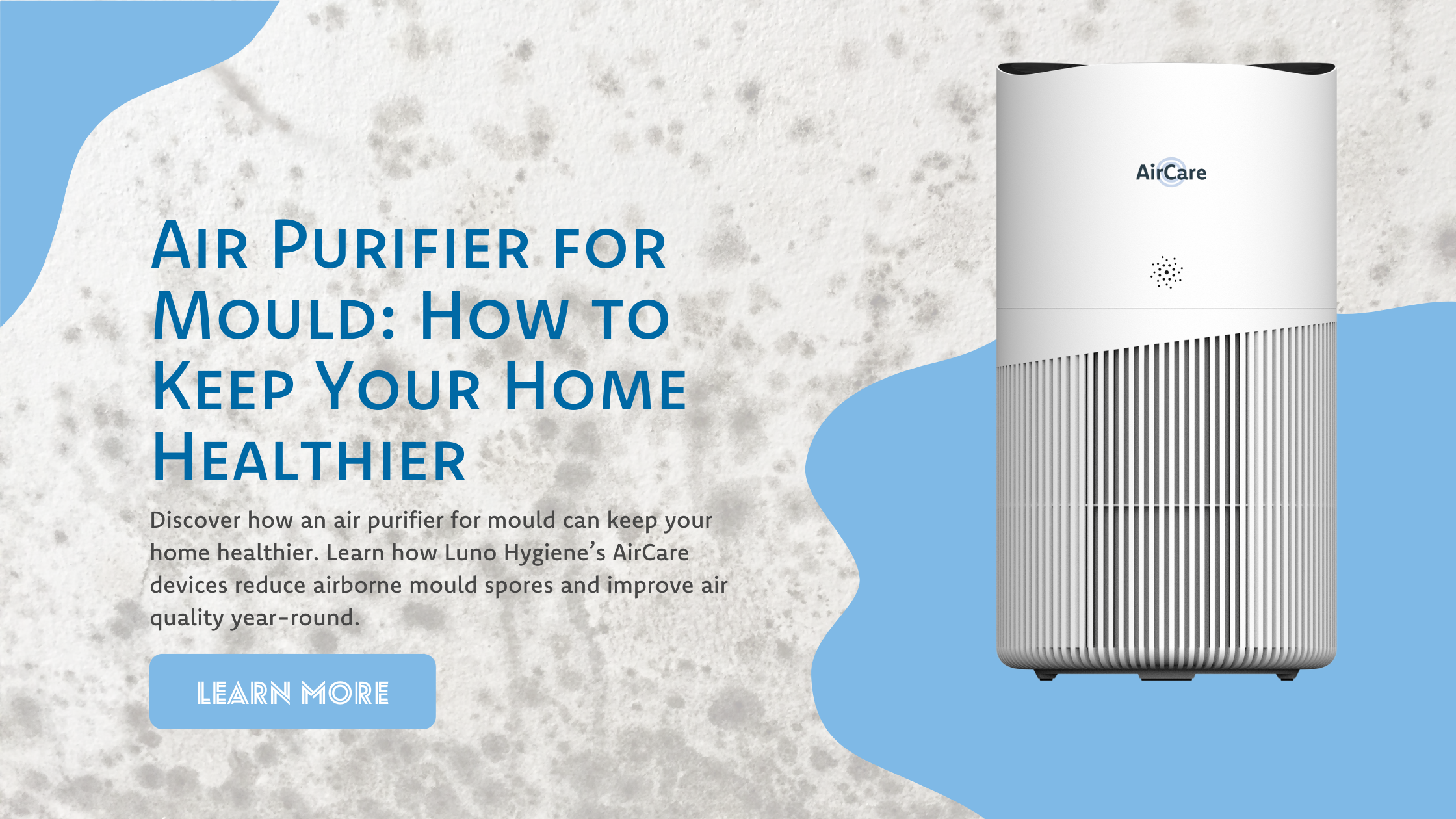Air Purifier for Mould: How to Keep Your Home Healthier