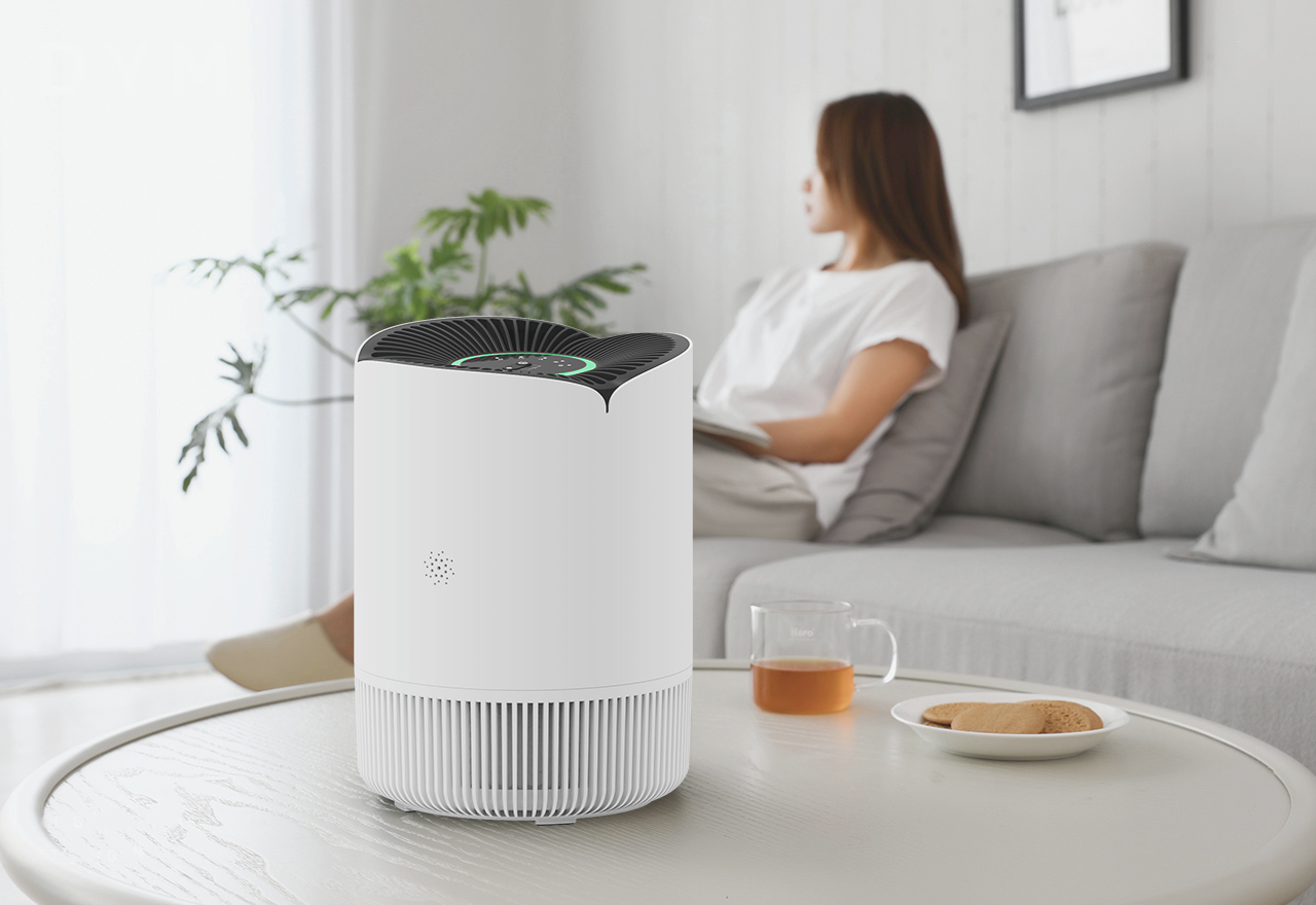 5 Powerful Reasons to Invest in an Air Purifier