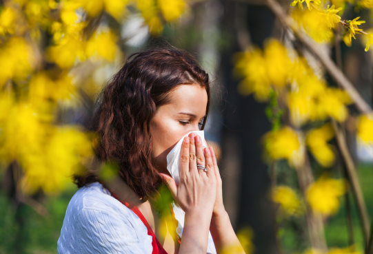 How Air Purifiers Can Help Relieve Hay Fever Symptoms